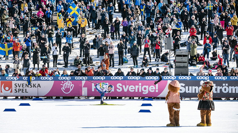Härlig stämning när publiken hejar fram en svensk åkare under Svenska Skidspelen i Falun. Foto: Ulf Palm.